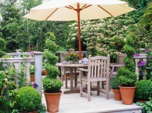Tips for Making Your Backyard More Beautiful